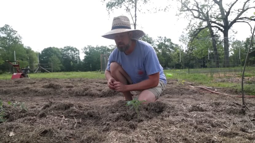 Compostable Garden Mulch