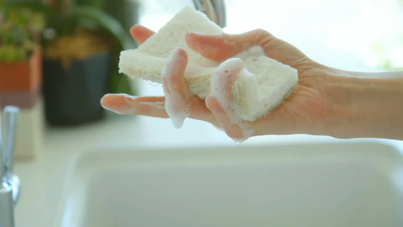 Natural Coconut Sponge for Cleaning